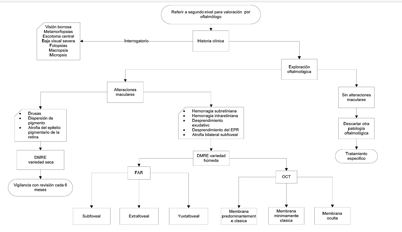 6. Algoritmo 1 - GPC-IMSS-401